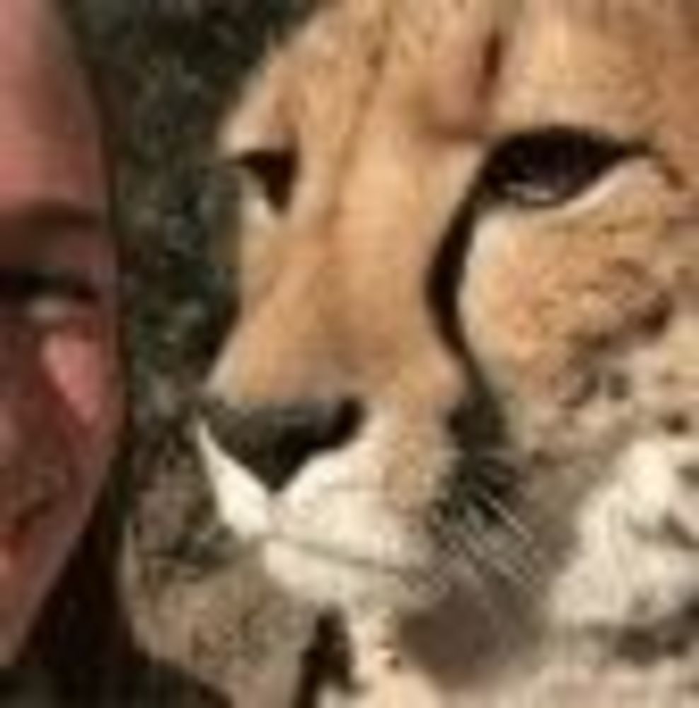 Meet your Posher, Lolbit